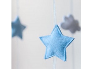 Scanner cu decupare Brother SDX1000