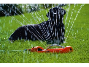 Aspersor oscilant din plastic