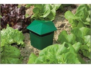 Capcana pentru melci