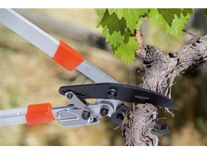 Cleste cu clichet pentru taiat crengi, cu maner telescopic 75 - 100 cm