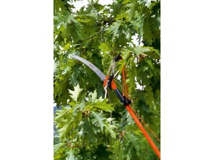 Cleste pentru taiat crengi tip bypass cu ferastrau, cu maner telescopic 134 - 245 cm