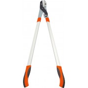 Cleste pro...