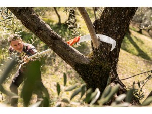 Fierastrau Corvo 430 TC cu maner telescopic 230 - 385 cm