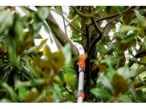 Fierastrau Sirkos 330 TC cu maner telescopic 225 - 380 cm