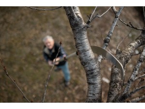 Fierastrau Corvo 430 TC