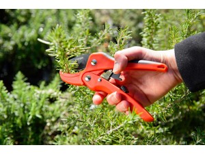 Foarfeca cu clichet, pentru taiere dificila, 17 cm