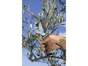 Foarfeca profesionala pentru taiere 19 cm