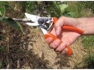 Foarfeca profesionala pentru taiere, 22 cm, cu maner pivotant