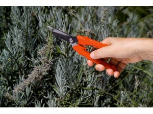 Foarfeca profesionala universala Snap, cu bretea, 18 cm