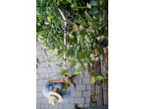 Foarfeca profesionala pentru tuns gard viu Combisystem