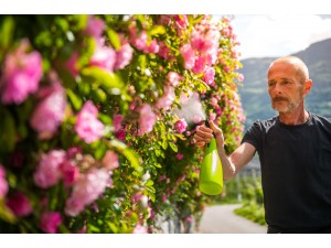 Pulverizator de mana cu rezervor de 900 ml, verde