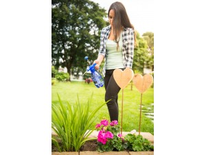 Pulverizator de presiune COLOR 1,5 litri