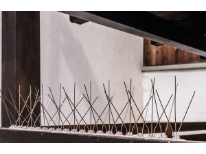 Spini contra pasari 50 cm - 50 spini