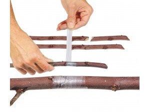 Banda pentru altoit Buddy Tape, 25 mm x 60 m, fara perforatii