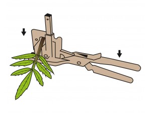 Foarfeca pentru altoit in V