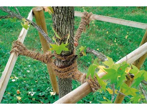 Sfoara organica din fibra de nuca de cocos pentru legat, rola