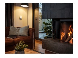 Senzor inteligent monoxid de carbon Netatmo NCO-EC, Wi-Fi, Bluetooth, Alarma sonora, Alb