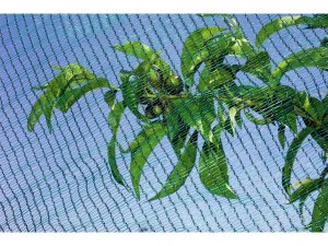 Plasa protectie antigrindina 2 x 20 m, 45 gr/m²