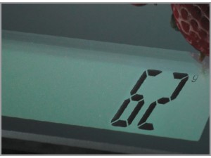 Cantar de bucatarie Trisa Easy Weight